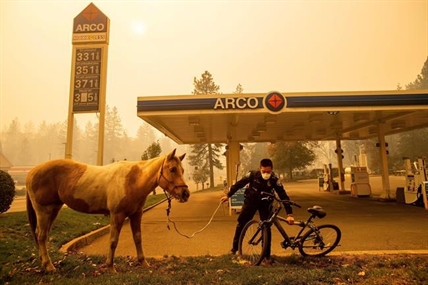 Bodies found in burnt cars as California fire incinerates town | iNFOnews.ca
