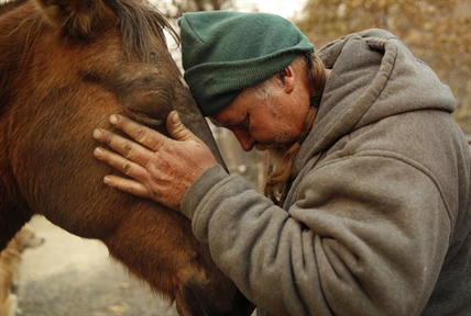 In smouldering California wildfire ruins, life goes on for a hardy few | iNFOnews.ca
