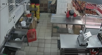 TRENDING NOW: Cats give worker quite the scare | iNFOnews.ca