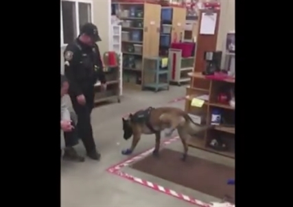 TRENDING NOW: Police dog not impressed with winter boots | iNFOnews.ca