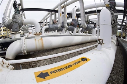 Wilderness Committee preparing new legal challenge to stop pipeline | iNFOnews.ca Wilderness Committee preparing new legal challenge to stop pipeline | iNFOnews.ca