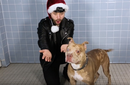 TRENDING NOW: Adorable dogs treated to some magic | iNFOnews.ca TRENDING NOW: Adorable dogs treated to some magic | iNFOnews.ca