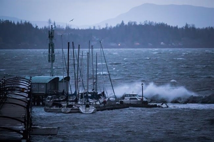 UPDATE: Windstorm that swept B.C. south coast among 'most severe' in years: Hydro | iNFOnews.ca UPDATE: Windstorm that swept B.C. south coast among 'most severe' in years: Hydro | iNFOnews.ca