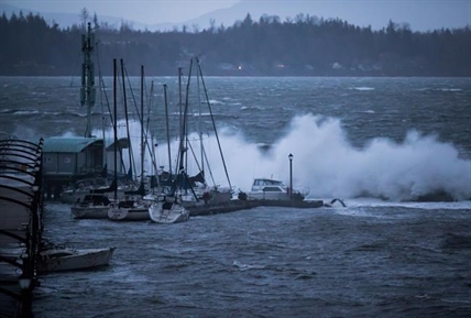 Recent west coast windstorm 'most damaging' in BC Hydro history: report | iNFOnews.ca Recent west coast windstorm 'most damaging' in BC Hydro history: report | iNFOnews.ca