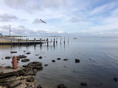 THOMPSON: The 'real' Florida | iNFOnews.ca