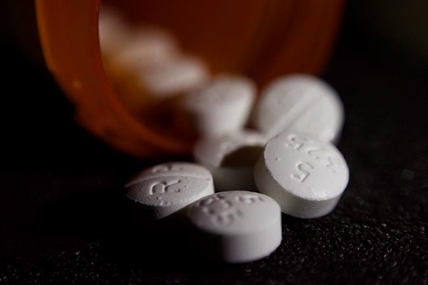 Federal health minister says national task force on chronic pain first step | iNFOnews.ca