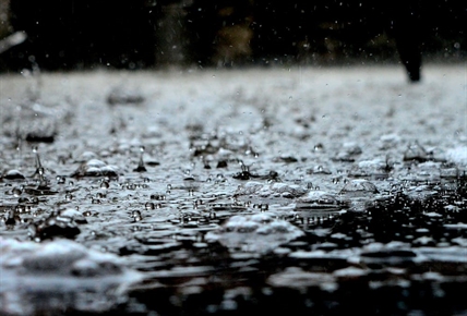 Saskatchewan premier sheltering in place in typhoon-battered Tokyo | iNFOnews.ca