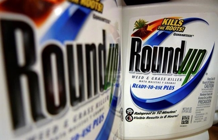 Health Canada upholds decision to keep glyphosate products on the market | iNFOnews.ca