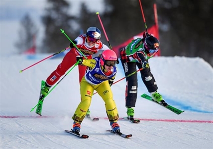 Canada's Marielle Thompson wins silver at ski-cross World Cup event | iNFOnews.ca
