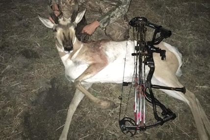 U.S. hunters use duck hunting ruse to poach Canadian deer | iNFOnews.ca