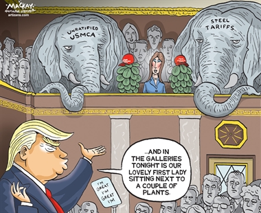 EDITORIAL CARTOON | iNFOnews.ca