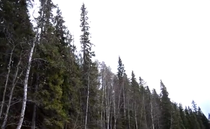 Definitely didn't see that coming | iNFOnews.ca