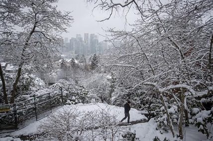 South coast B.C. snow storm passes on, but many areas still digging out | iNFOnews.ca