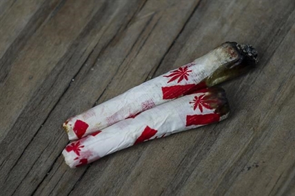 Federal legislation for cannabis-possession pardon not enough, critics say | iNFOnews.ca Federal legislation for cannabis-possession pardon not enough, critics say | iNFOnews.ca