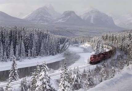 Parks Canada worried spilled grain from derailed CP train will attract grizzlies | iNFOnews.ca