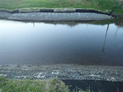 Salmon habitat to recover from Trans Mountain pipeline work within 2 years: DFO | iNFOnews.ca Salmon habitat to recover from Trans Mountain pipeline work within 2 years: DFO | iNFOnews.ca