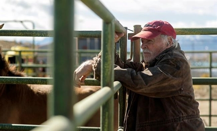 MOVIE REVIEW: An untamed man and horse connect in 'The Mustang' | iNFOnews.ca MOVIE REVIEW: An untamed man and horse connect in 'The Mustang' | iNFOnews.ca