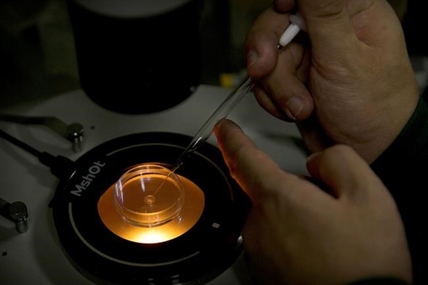 Scientists back temporary global ban on gene-edited babies | iNFOnews.ca Scientists back temporary global ban on gene-edited babies | iNFOnews.ca