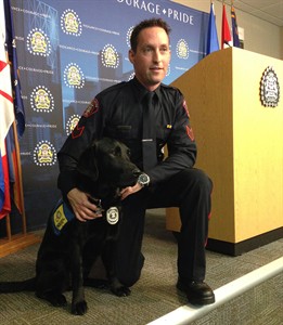 Black Hawk town: dog joins Calgary Police Force to help trauma victims | iNFOnews.ca