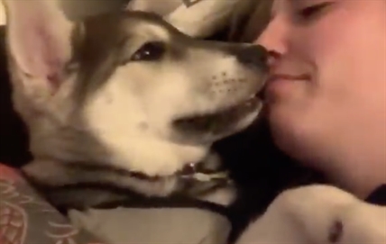 TRENDING NOW: Puppy laughter will warm your heart | iNFOnews.ca