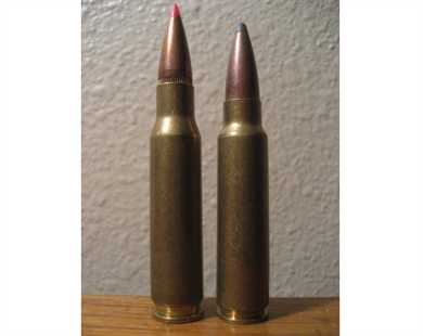 Kelowna woman looking for stolen cartridge filled with grandfather's ashes | iNFOnews.ca