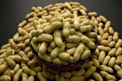 Study finds peanut allergy treatment safe for allergists to use with young kids | iNFOnews.ca