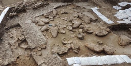 Raising Canaan? Wine cellar found in ancient palace was where they kept the good stuff | iNFOnews.ca Raising Canaan? Wine cellar found in ancient palace was where they kept the good stuff | iNFOnews.ca