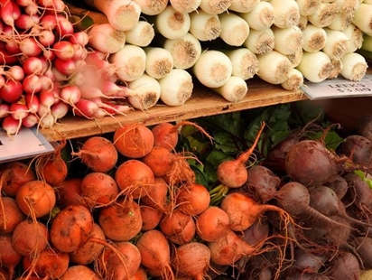 Keep pets away from gardens to prevent food-borne illness | iNFOnews.ca Keep pets away from gardens to prevent food-borne illness | iNFOnews.ca