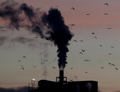 UN report: Humans accelerating extinction of species | iNFOnews.ca UN report: Humans accelerating extinction of species | iNFOnews.ca