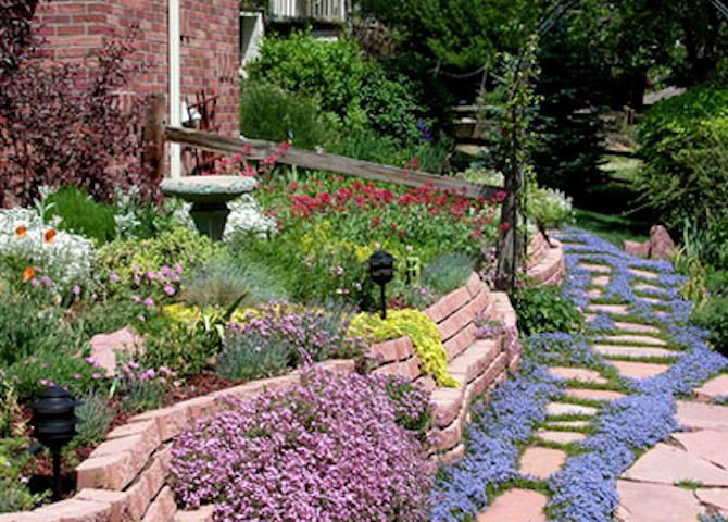 How to protect the Okanagan's precious water supply when planting your garden | iNFOnews.ca How to protect the Okanagan's precious water supply when planting your garden | iNFOnews.ca