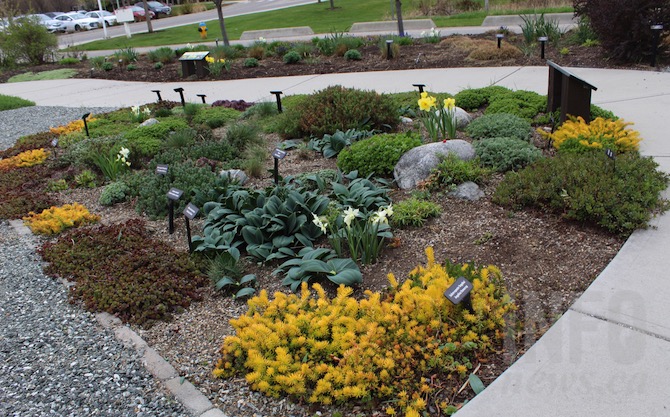 How to protect the Okanagan's precious water supply when planting your garden | iNFOnews.ca How to protect the Okanagan's precious water supply when planting your garden | iNFOnews.ca