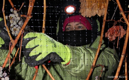 UPDATE: Police search for truck in ice wines theft | iNFOnews.ca