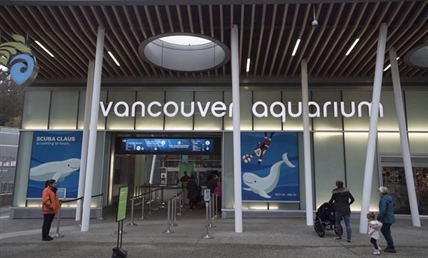 Vancouver Aquarium files civil claim suing city and park board over cetacean ban | iNFOnews.ca