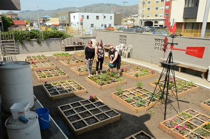Square-foot gardens helping former shelter residents feed the 'soul' | iNFOnews.ca