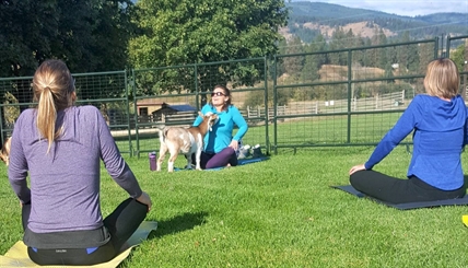 You have to be kidding; goat yoga is a thing in Vernon | iNFOnews.ca You have to be kidding; goat yoga is a thing in Vernon | iNFOnews.ca