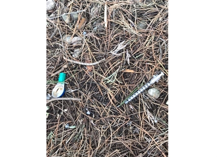 Used needles and bicycle thefts: Rutland residents speak out against constant crime | iNFOnews.ca