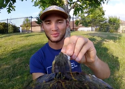 TRENDING NOW: Amazing video from GoPro on a turtle | iNFOnews.ca