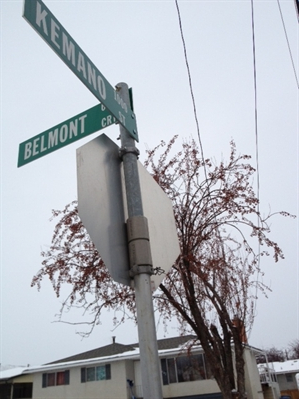 One of four suspects arrested in North Shore home invasion | iNFOnews.ca