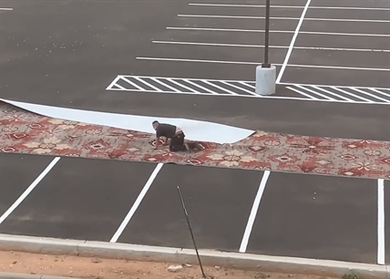 TRENDING NOW: Wind picks up and ruins this rug repair guy's day | iNFOnews.ca