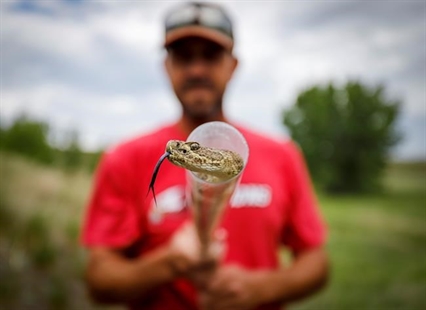 Who you gonna call? Alberta rattlesnake wrangler keeps serpents, citizens safe | iNFOnews.ca Who you gonna call? Alberta rattlesnake wrangler keeps serpents, citizens safe | iNFOnews.ca