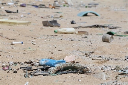 THOMPSON: Plastic in the ocean shouldn't be a problem we leave for our grandchildren | iNFOnews.ca