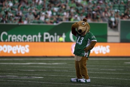 New look for Roughriders mascot causes controversy in Saskatchewan | iNFOnews.ca