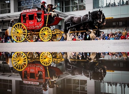 Skies clear, rain stops just in time for start of Calgary Stampede parade | iNFOnews.ca Skies clear, rain stops just in time for start of Calgary Stampede parade | iNFOnews.ca