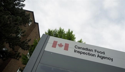 Officials flagged 900 food items from China with 'problems' over two years | iNFOnews.ca