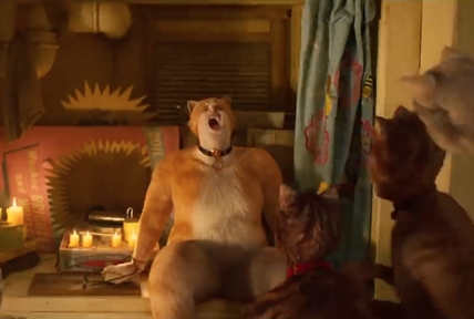 TRENDING NOW: Trailer for 'CATS' movie has baffled the internet | iNFOnews.ca