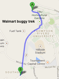 Bugged about buggies: How TRU students roll at Walmart | iNFOnews.ca