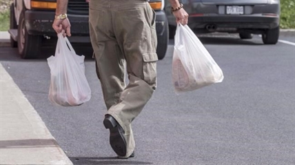 Sobeys to remove plastic bags from all stores next year as grocers go green | iNFOnews.ca