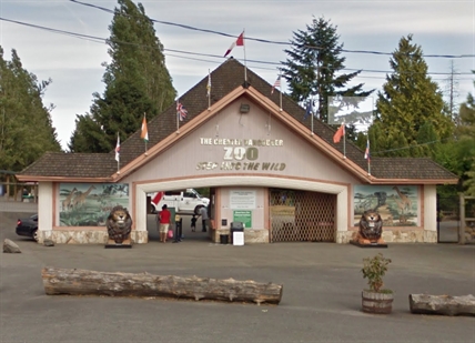 Child injured by bear bite at Greater Vancouver Zoo: officials | iNFOnews.ca