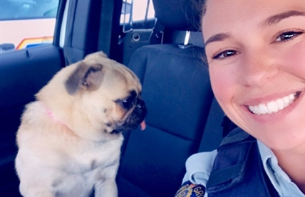 Kelowna Mounties save pug, put positive spin on potentially deadly situation | iNFOnews.ca