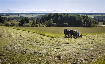 Farmers look to capture carbon as warnings of climate shocks grow louder | iNFOnews.ca